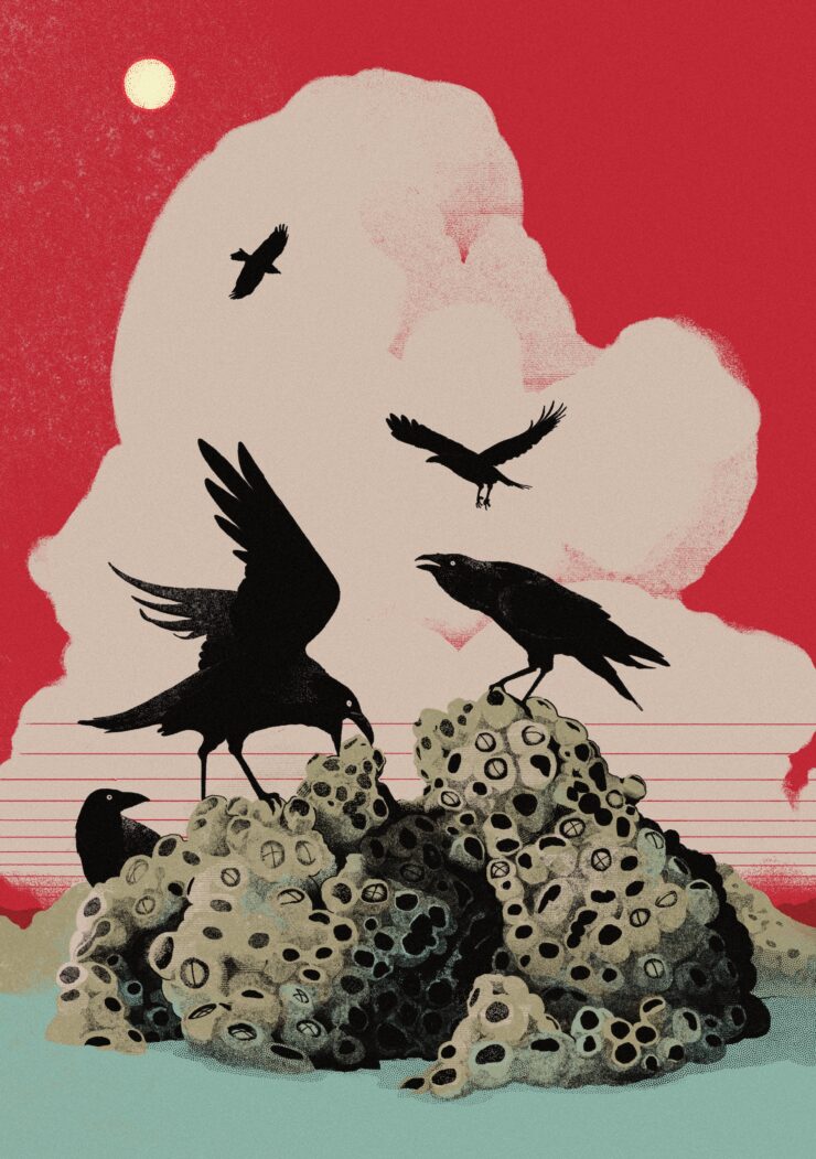 An illustration of black birds picking at a barnacle covered rock against a bright red sky.