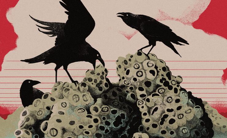 An illustration of black birds picking at a barnacle covered rock against a bright red sky.