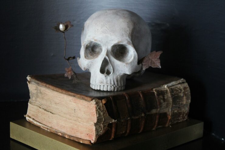 Photo of a decorative white skull sitting on top of a book