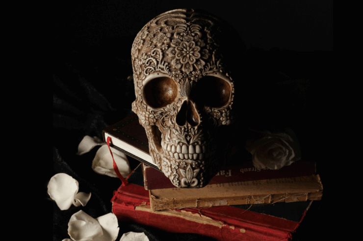 Photo of a human skull with decorative, floral markings placed atop a stack of books with frayed spines, surrounded by white rose petals