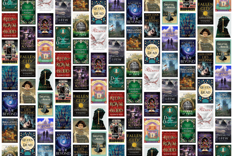 Collection of 21 book covers for November 2025's new fantasy titles.