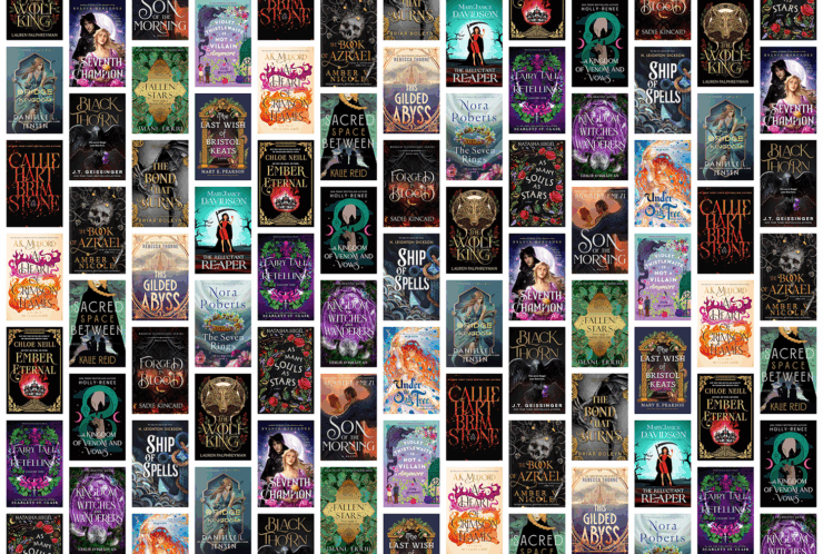 Collection of 24 book covers for November 2025's new romantasy titles.